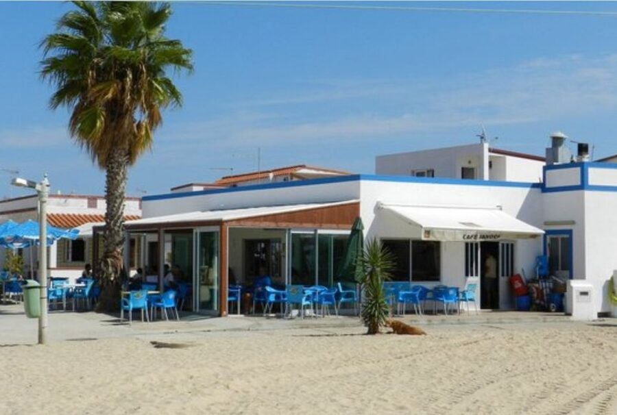 From Faro: 4 Stops, 3 Islands in Ria Formosa Catamaran Tour - Start inside the park: channels, marsh edges, and seabirds