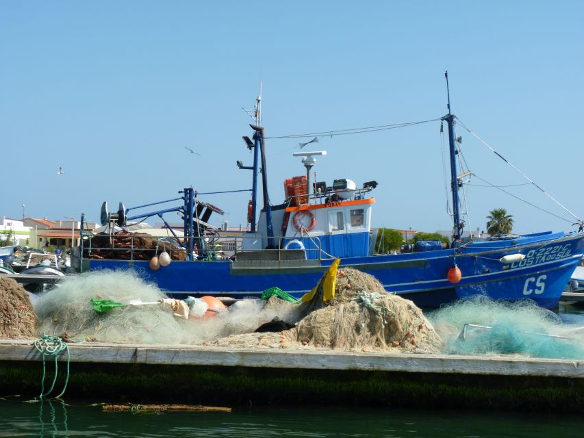 From Faro: 4 Stops, 3 Islands in Ria Formosa Catamaran Tour - Stop 2: Ilha do Farol lighthouse, Algarve houses, and snacks