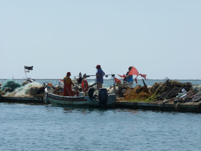 From Faro: 4 Stops, 3 Islands in Ria Formosa Catamaran Tour - Stop 3: Culatra Island, 2 hours of free time, and fresh seafood lunch
