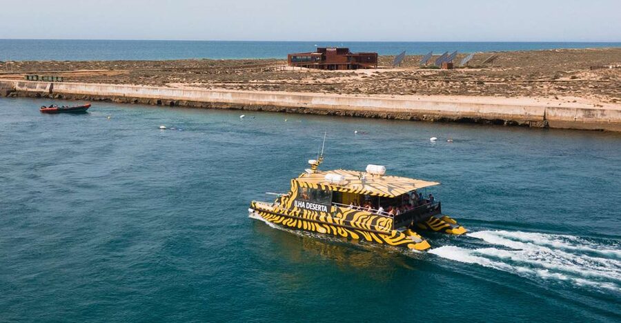 From Faro: Catamaran Boat Trip to Deserta Island with Stop - Catamaran cruise through Ria Formosa, what you’ll notice from the water