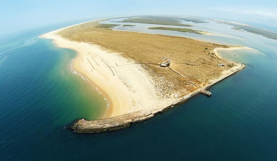 From Faro: Catamaran Boat Trip to Deserta Island with Stop - Who this trip is best for, and who might not love it