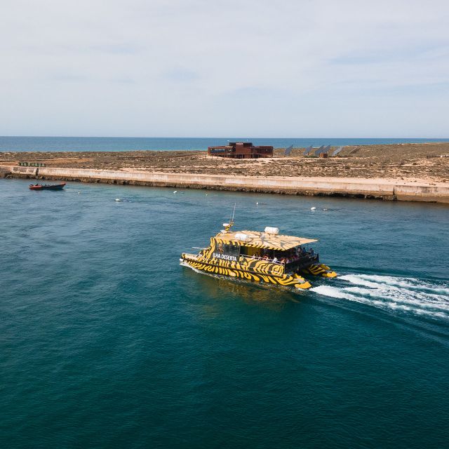 From Faro: Catamaran Boat Trip to Deserta Island with Stop - Finding the Porta Nova pier, and making your start painless