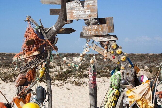 From Faro: Ria Formosa Eco Tour guided by Marine Biologist - Key things to know before you go