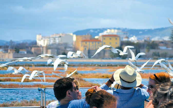 From Faro: Ria Formosa Eco Tour guided by Marine Biologist - Price and value: what $54.31 covers
