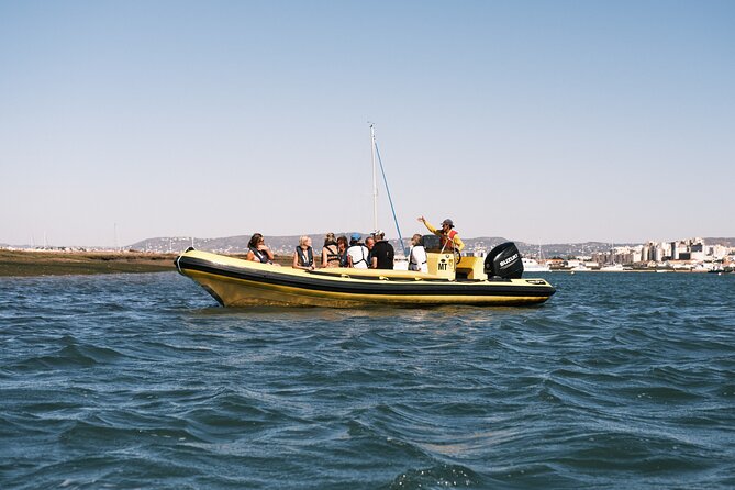 From Faro: Ria Formosa Eco Tour guided by Marine Biologist - Marine biologist-led comfort, not a lecture