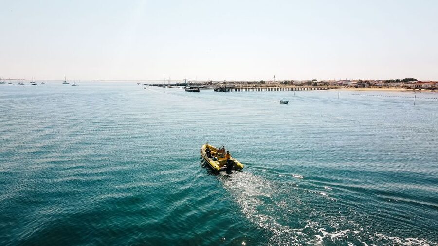 From Faro: Ria Formosa Hop-On Hop-Off 3 Islands Cruise - Ria Formosa at your pace, not on someone else’s schedule