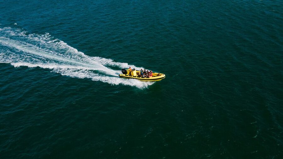 From Faro: Ria Formosa Hop-On Hop-Off 3 Islands Cruise - Desert Island stop: uninhabited calm, beach time, and wildlife watching