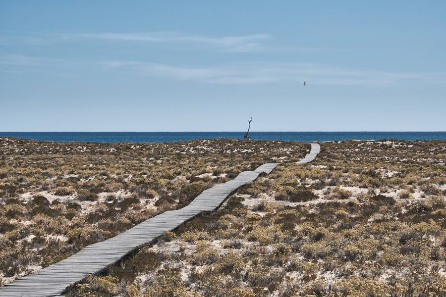 From Faro: Ria Formosa Hop-On Hop-Off 3 Islands Cruise - Culatra Island: a working fishing village with real sights at low tide