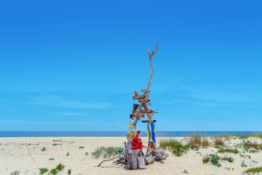 From Faro: Ria Formosa Hop-On Hop-Off 3 Islands Cruise - Along the way: passed islands and what to watch for from the boat
