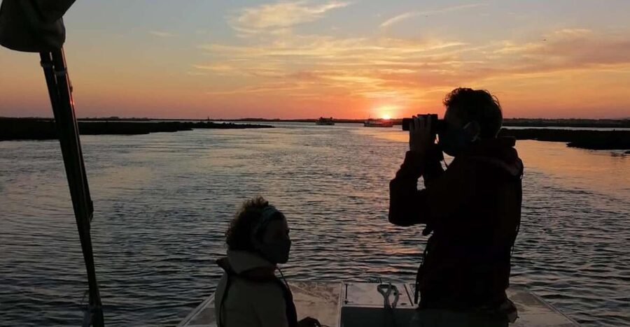 From Faro: Ria Formosa Sunset Boat Trip - Key points to know before you go