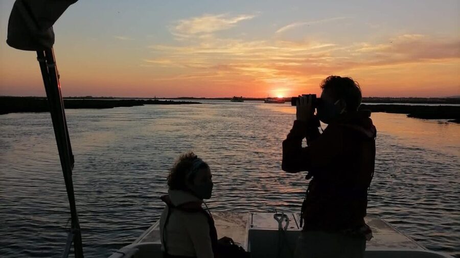 From Faro: Ria Formosa Sunset Boat Trip - Should you book the Faro Ria Formosa Sunset Boat Trip?