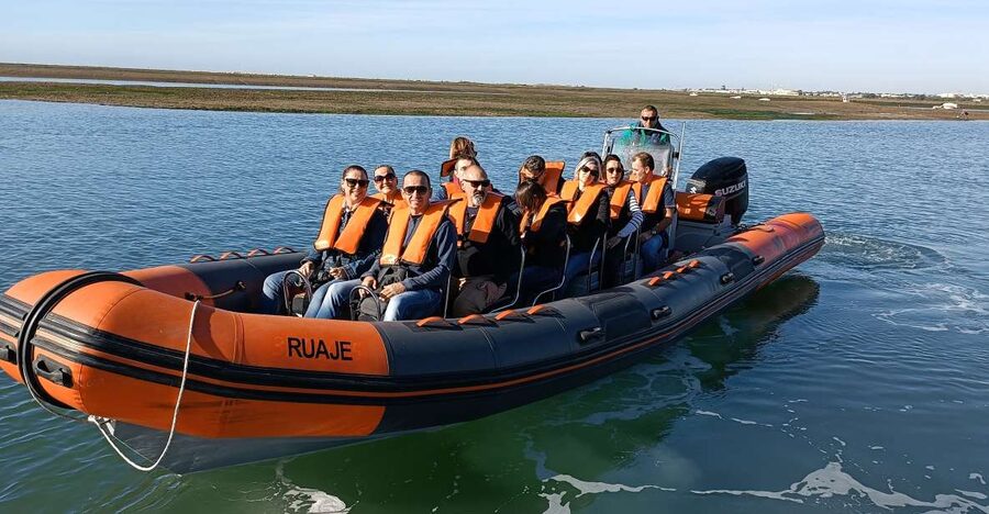 From Faro: Wildlife and Dolphin-Watching Speedboat Tour - Price and value: is $58 a fair deal?