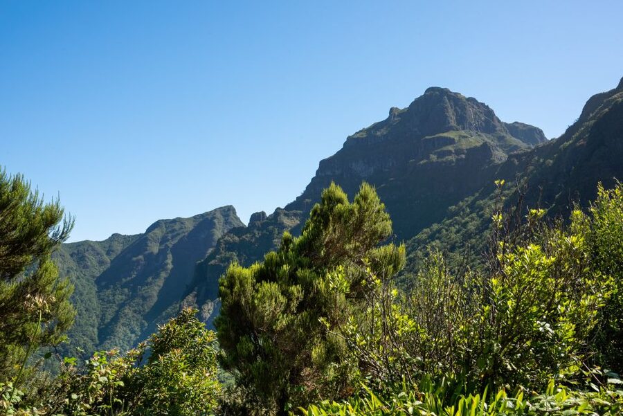 From Funchal: Best of Madeira's West Tour - Paul da Serra plateau: rugged, open, and not built for crowds
