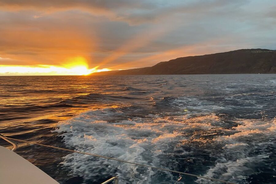 From Funchal: Cabo Girao Sunset Cruise on Luxury Catamaran - Who This Tour Suits Best (and Who Might Prefer Something Else)