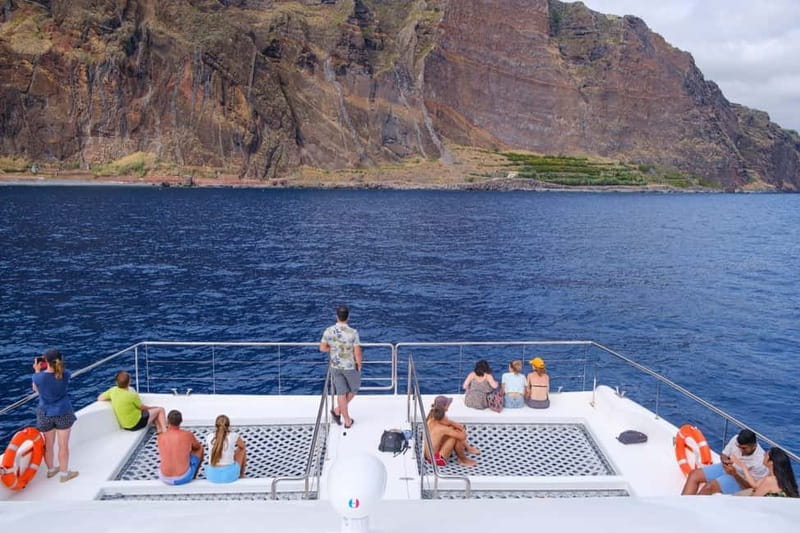 From Funchal: Ecological Catamaran Dolphin Whale Watching - Key highlights to know before you go
