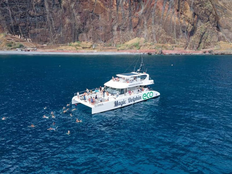 From Funchal: Ecological Catamaran Dolphin Whale Watching - Responsible viewing: why it changes how you feel on the water