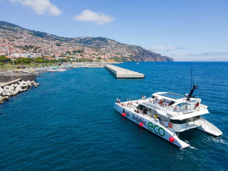 From Funchal: Ecological Catamaran Dolphin Whale Watching - The onboard vibe: space, bar options, and photo time