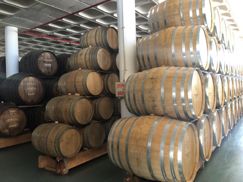 From Funchal: Jeep Tour with Madeira Wine Tasting - Should You Book This Jeep Tour with Wine Tasting?