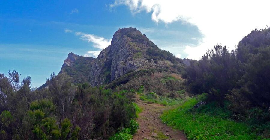 From Funchal: Machico to Porto da Cruz Larano Cliff Hike - Key things you’ll notice on this hike
