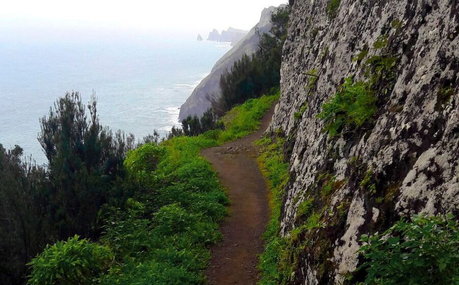 From Funchal: Machico to Porto da Cruz Larano Cliff Hike - The Larano Cliff route: what you will feel on the trail