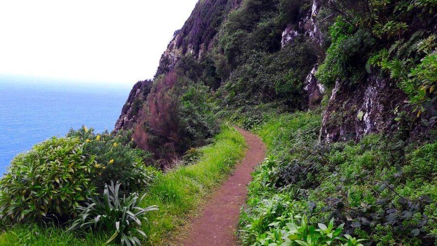 From Funchal: Machico to Porto da Cruz Larano Cliff Hike - The best views: São Lourenço Peninsula, Porto Santo, and ocean angles