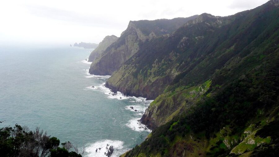 From Funchal: Machico to Porto da Cruz Larano Cliff Hike - Price and value: is $50 a good deal for this kind of day?