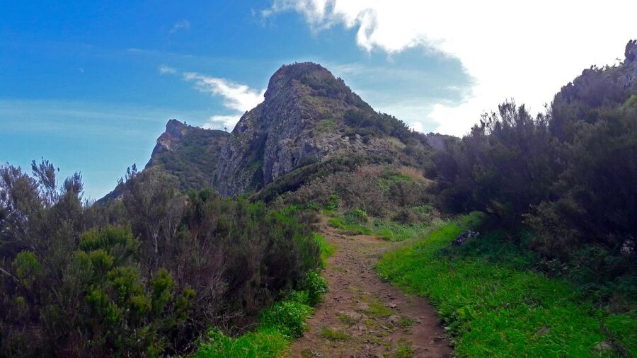 From Funchal: Machico to Porto da Cruz Larano Cliff Hike - From Funchal pickup to Machico start: how the day actually works