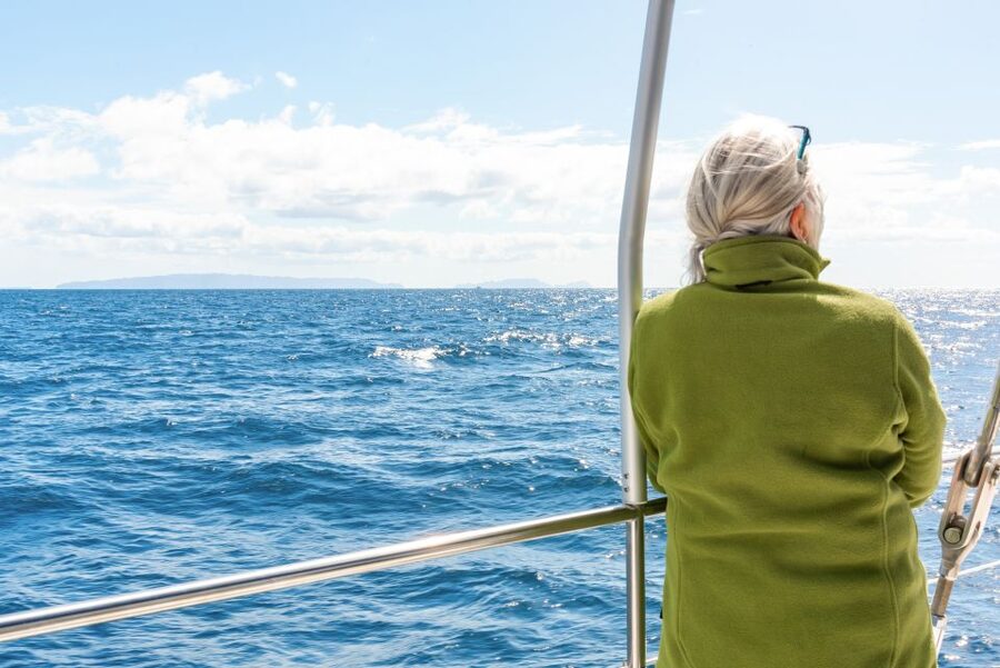 From Funchal: Madeira Dolphin and Whale Watching Tour - What You Might See: Dolphins, Whales, and Even Turtles