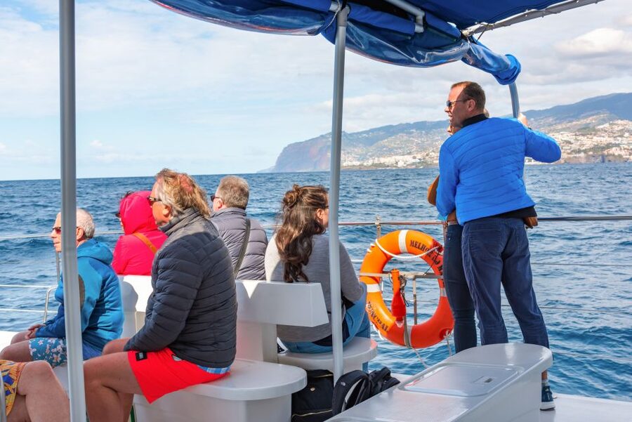 From Funchal: Madeira Dolphin and Whale Watching Tour - Cabo Girão Swim and Snorkel Stop: Europe’s Tall Sea-Cliff Views