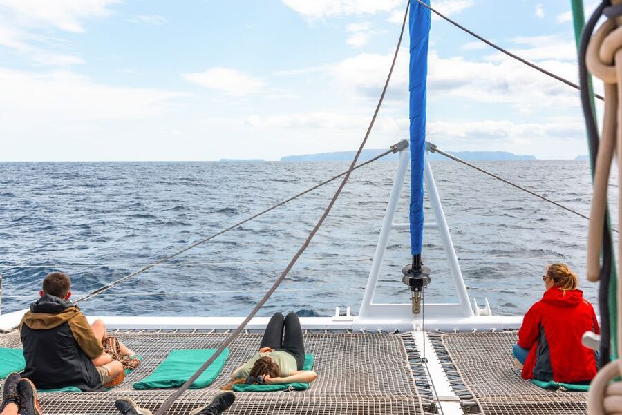 From Funchal: Madeira Dolphin and Whale Watching Tour - Seating, Front Netting, Toilets, and the Bar: Comfort That Matters at Sea