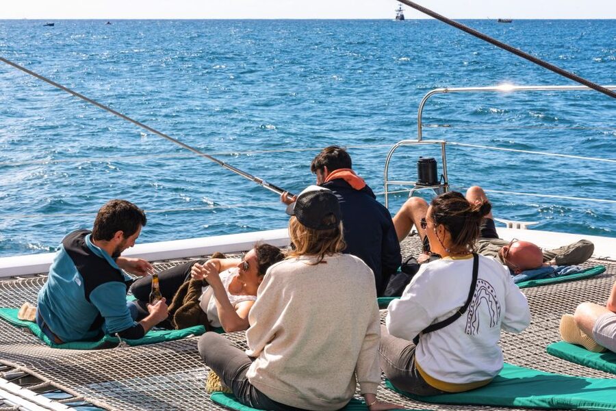 From Funchal: Madeira Dolphin and Whale Watching Tour - Who Should Book This, and Who Might Want to Pass
