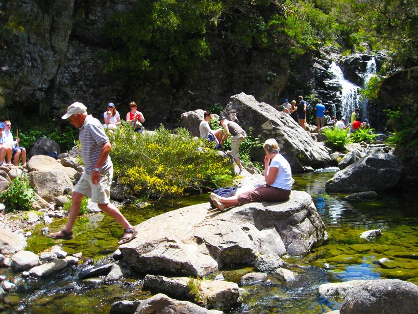 From Funchal: Madeira Lakes Levada Guided Hike - Key Points to Know Before You Go