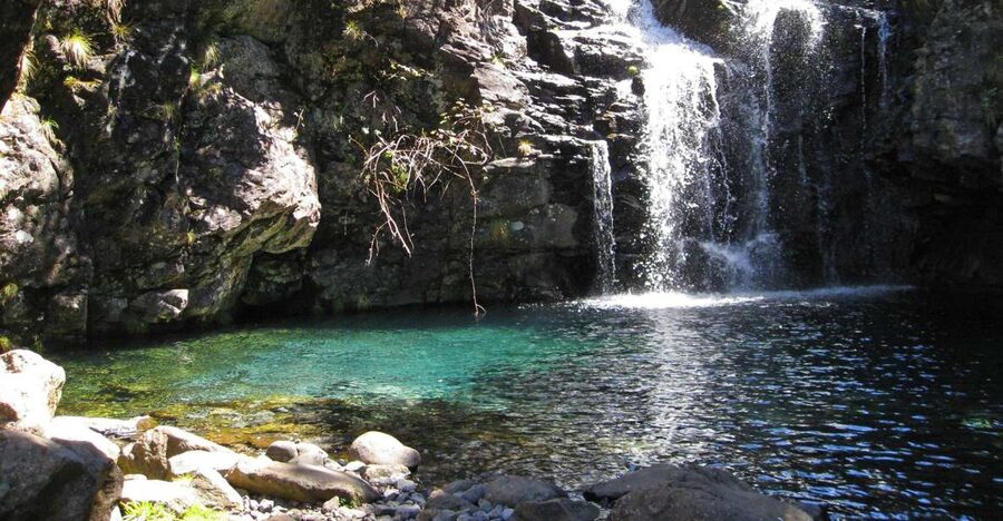 From Funchal: Madeira Lakes Levada Guided Hike - Levada do Alecrim: Your 10-Kilometer Walk Along Mini-Canals