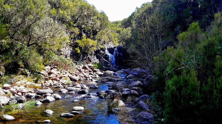 From Funchal: Madeira Lakes Levada Guided Hike - How Hard Is It Really? Terrain, Heat, and the Real-World Comfort Zone