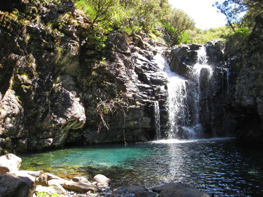 From Funchal: Madeira Lakes Levada Guided Hike - Getting to the Trail: Funchal Pickup That Keeps the Day Smooth