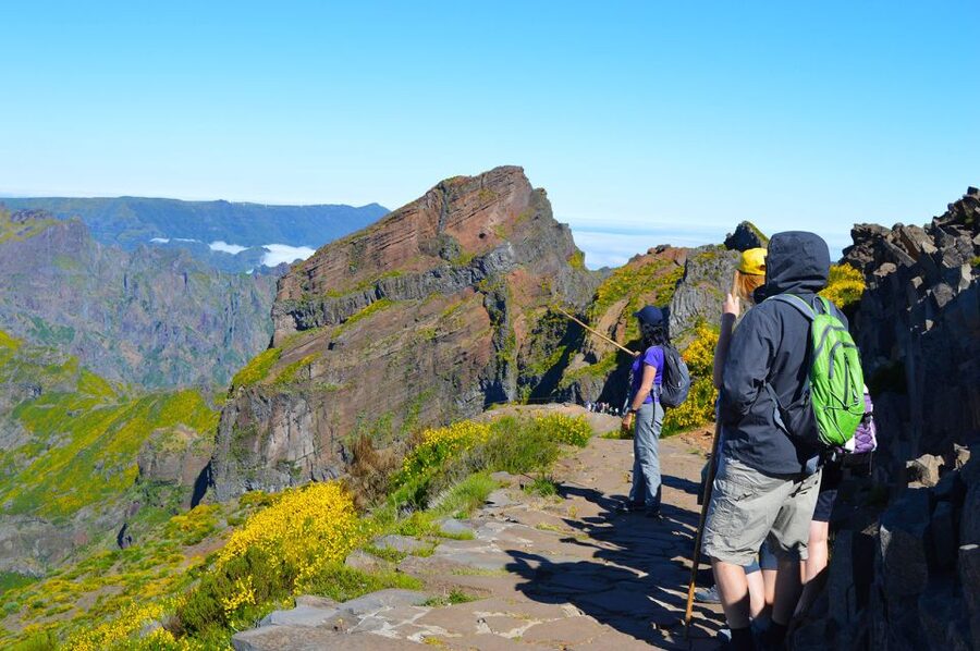 From Funchal: Madeira Peaks Mountain Walk - Key Highlights You Should Actually Care About