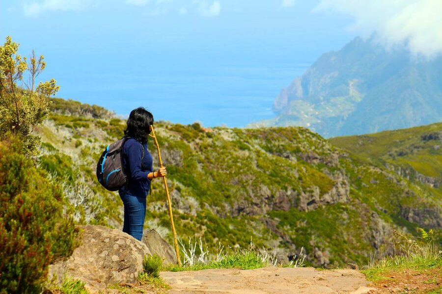 From Funchal: Madeira Peaks Mountain Walk - Price And Value: Why This Costs $50 Plus Lunch