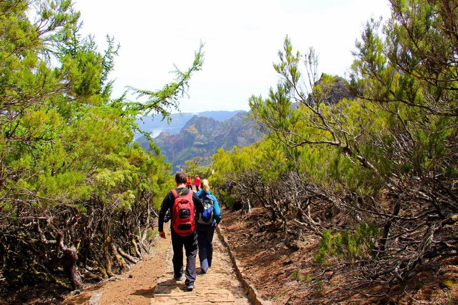 From Funchal: Madeira Peaks Mountain Walk - The Peak Moment: Pico Ruivo Views Coast To Coast