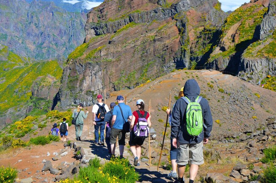From Funchal: Madeira Peaks Mountain Walk - What You Need To Bring For An 8-Hour Hike (And Why Lunch Matters)