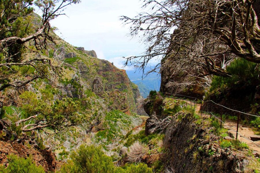 From Funchal: Madeira Peaks Mountain Walk - Transport And Group Flow: Safe, Efficient, And Not Rushed