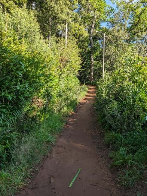 From Funchal: Pico Arieiro Sunrise with Optional Breakfast - Paradise Valley levada walk: easy walking, real Madeira vibes