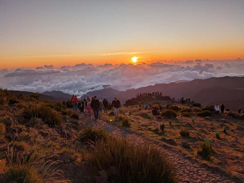 From Funchal: Pico Arieiro Sunrise with Optional Breakfast - The drive from Funchal to 1,800 meters, and how the morning timing feels