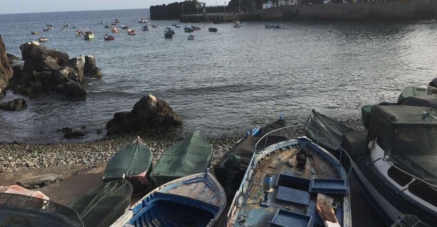 From Funchal: West Madeira and Laurel Forest Day Trip - A Greatest-Hits Day of West Madeira: From Fish Boats to Cloud-Capped Forest