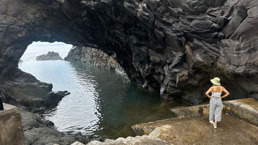 From Funchal:West Madeira Open-roof 4x4 Day Tour with Pickup - Fanal Forest in the UNESCO laurel zone: misty trees, a short walk, wildlife time