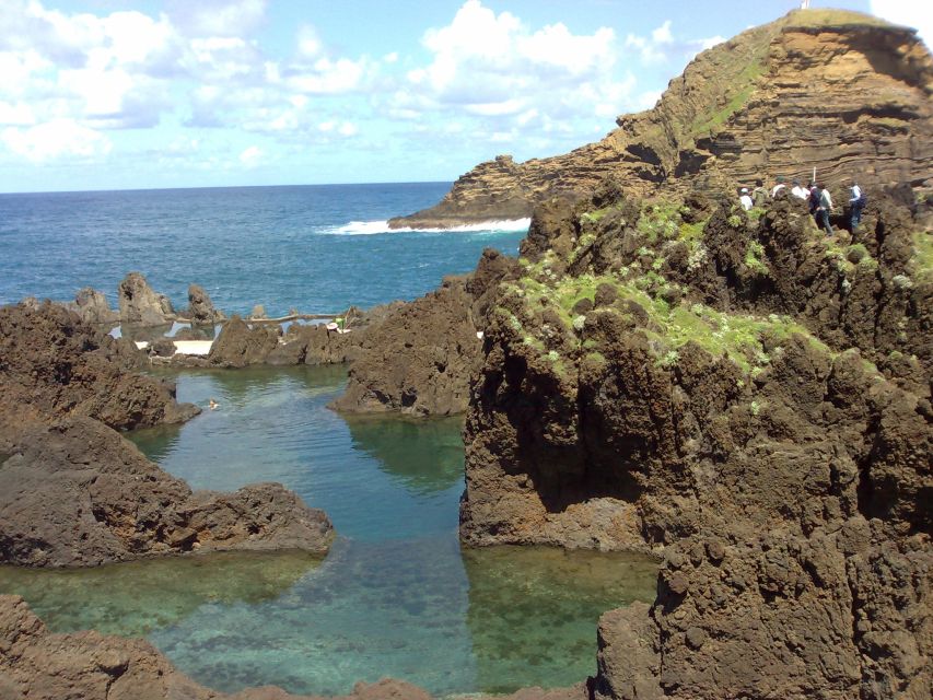 From Funchal: West Madeira Waterfalls and Fanal Forest Tour - Key highlights worth caring about