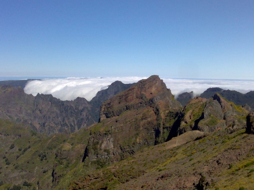 From Funchal: West Madeira Waterfalls and Fanal Forest Tour - Porto Moniz Natural Pools: Swim, Lunch, and Fort-Side Culture