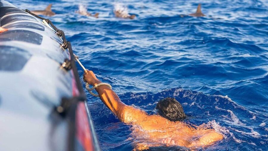 From Funchal: Whale and Dolphin Watching - Comfort and weather: lockers, wind, and the reality of choppy water