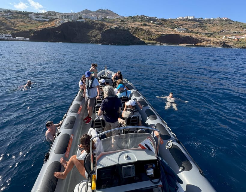 From Funchal: Whale and Dolphin Watching - Animal respect, safety, and how the crew keeps things fair