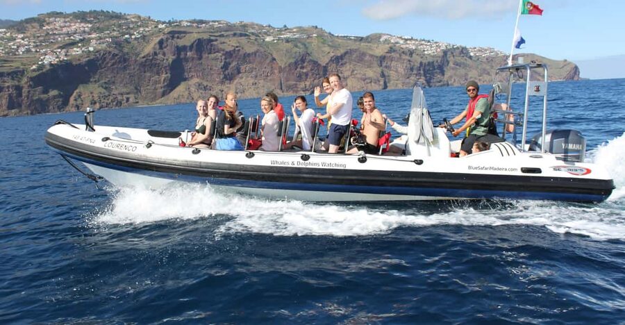 From Funchal: Whales and Dolphin Adventure Tour - Meet at Funchal’s new marina, then get into the search mode