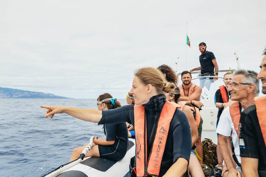 From Funchal: Whales and Dolphin Adventure Tour - Photos at sea, plus your own snapshots from a phone